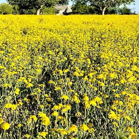 Trullo In Valle D'itria With Pool Villa *