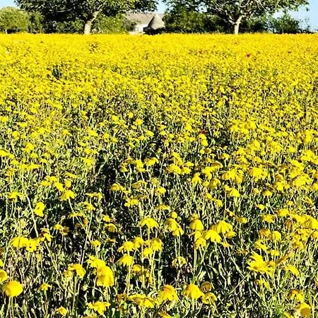 Trullo In Valle D'itria With Pool Villa *